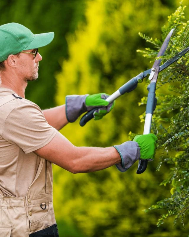 Empresa de jardinagem para condomínios