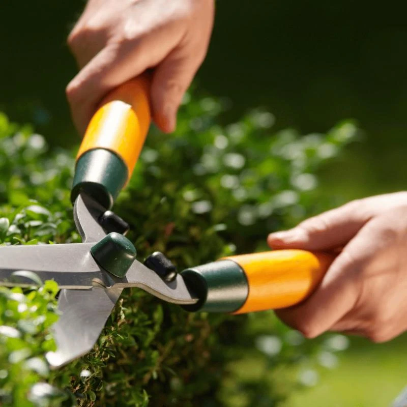 Empresa de jardinagem e limpeza
