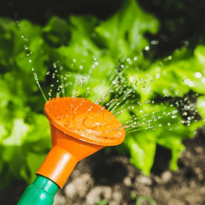 Empresa de jardinagem e paisagismo